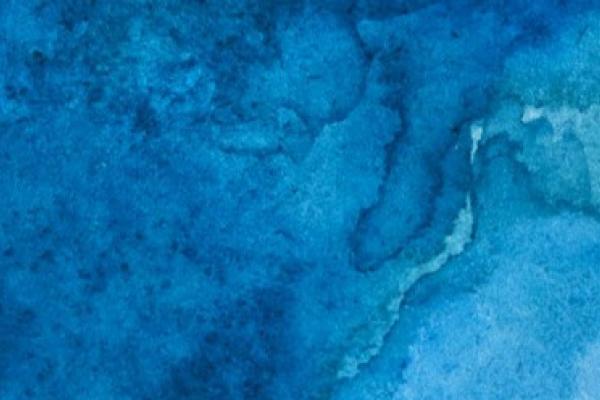 Après-midi de rencontres et Soirée de soutien<br>22 novembre de 14h à 23h